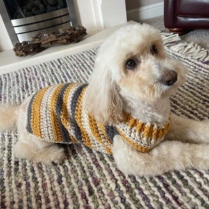 Crochet large warm chunky doggy jumper’s
